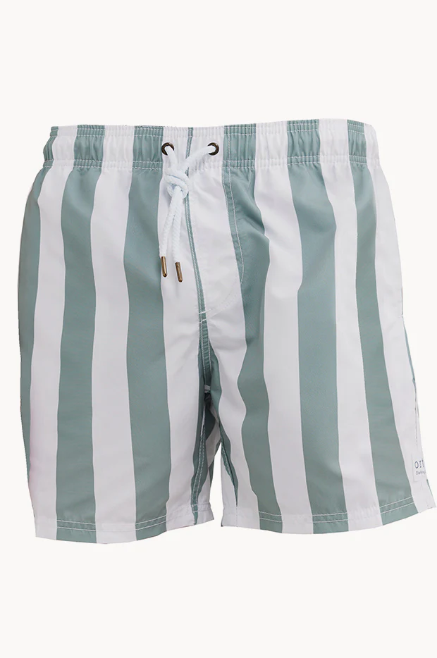 Toddler Boys Portsea Boardshort
